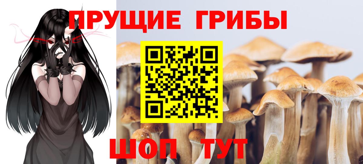 Кохма  Галлюциногенные грибы Cubensis  Вход с VPN 
