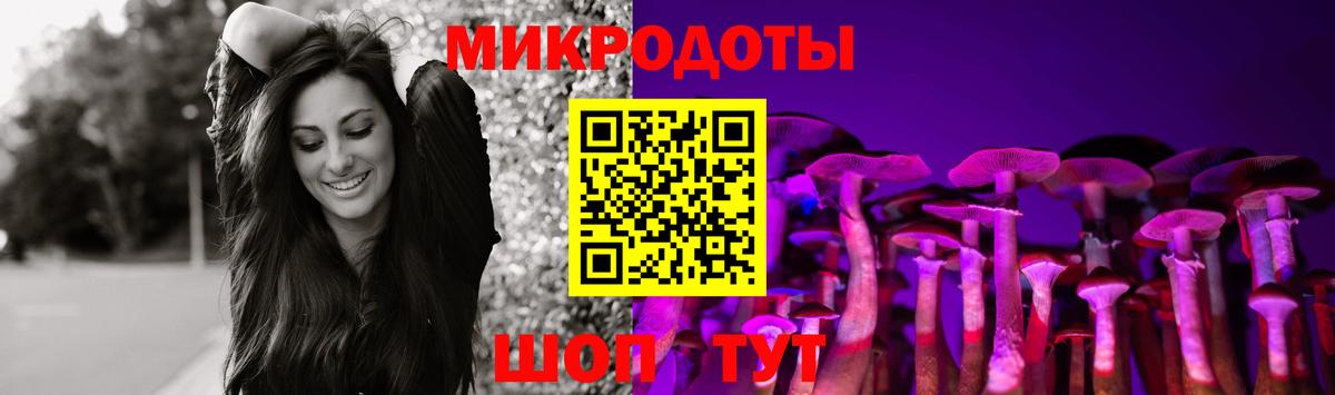 Псилоцибиновые грибы прущие грибы Кохма